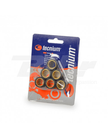 Jeu de galets TECNIUM 25x22,2mm 20gr - 6 pièces