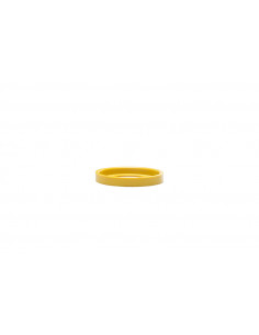 Guide de ressort de variateur MALOSSI Torsion Controller 2