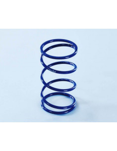 Ressorts d'embrayage POLINI 2