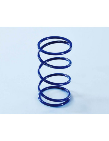 Ressorts d'embrayage POLINI