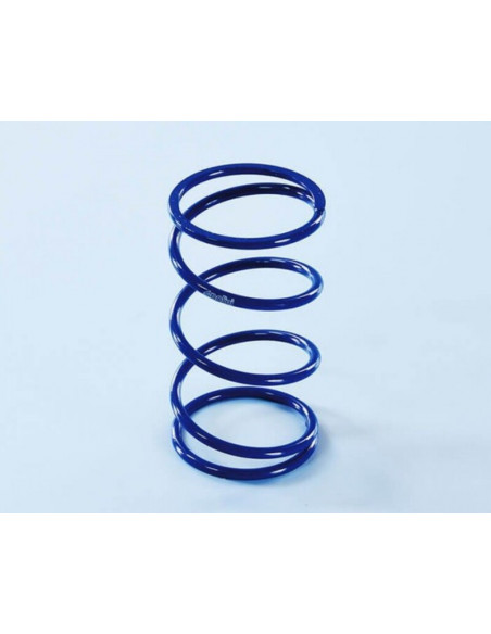 Ressorts d'embrayage POLINI