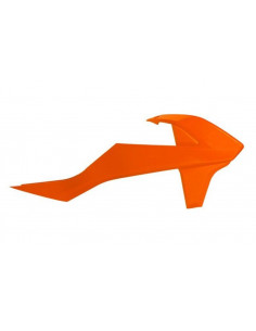 Ouïes de radiateur RACETECH 2