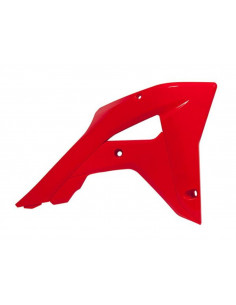 Ouïes de radiateur RACETECH 2