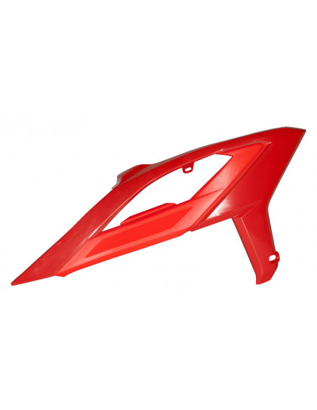 Ouïes de radiateur RACETECH avec support