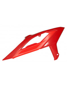 Ouïes de radiateur RACETECH avec support 2