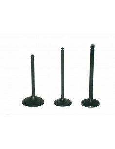 Soupape d'échappement PROX titane 2