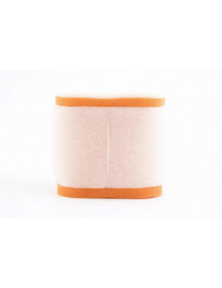 Filtre à air TWIN AIR - 152502