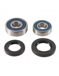 Kit roulements de roue ALL BALLS 2