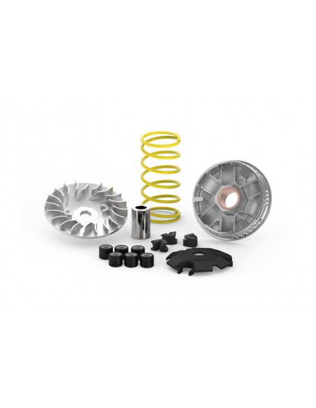 Variateur MALOSSI Multivar 2000