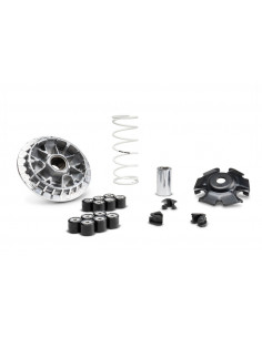 Variateur MALOSSI Multivar 2000 2