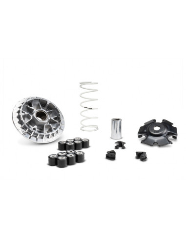 Variateur MALOSSI Multivar 2000