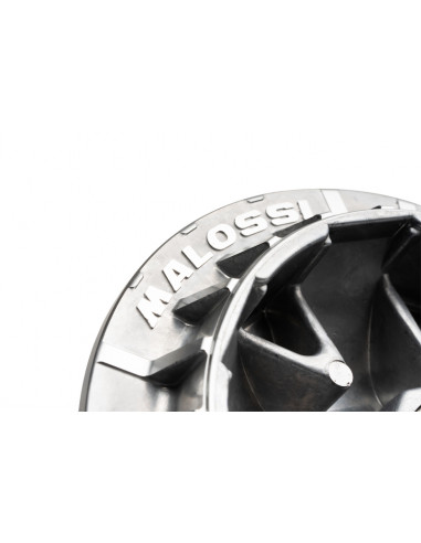 Variateur MALOSSI Multivar 2000