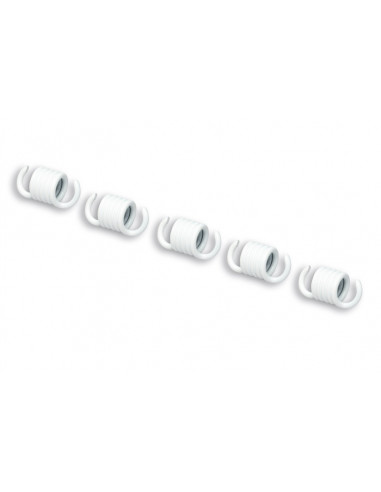 Ressort d'embrayage MALOSSI 2.2mm - jeu de 5