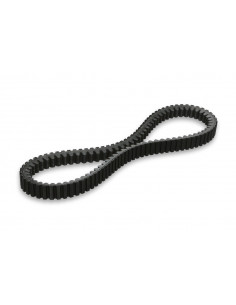 Courroie de transmission MALOSSI XK renforcée 2