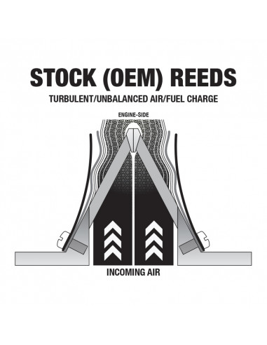 Clapets de rechange BOYESEN Power Reeds