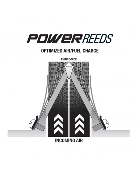 Clapets de rechange BOYESEN Power Reeds