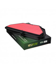 Filtre à air HIFLOFILTRO - HFA2925 2