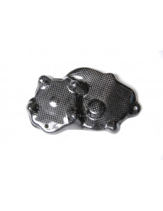 Couvre carter alternateur LIGHTECH carbone brillant Kawasaki Zx6R 2