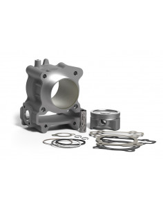 Kit cylindre MALOSSI H20 I-Tech 2