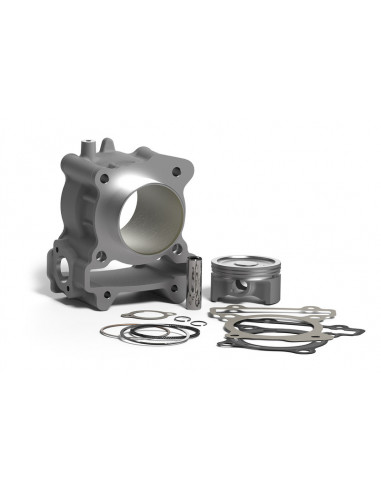 Kit cylindre MALOSSI H20 I-Tech