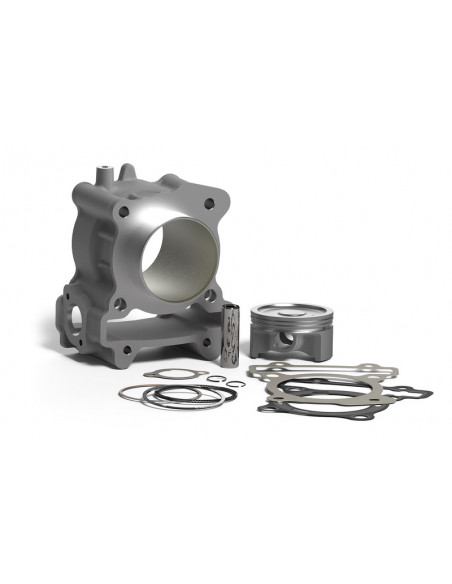 Kit cylindre MALOSSI H20 I-Tech