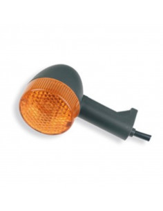 Both Sides Front and Rear Indicator LENS 2