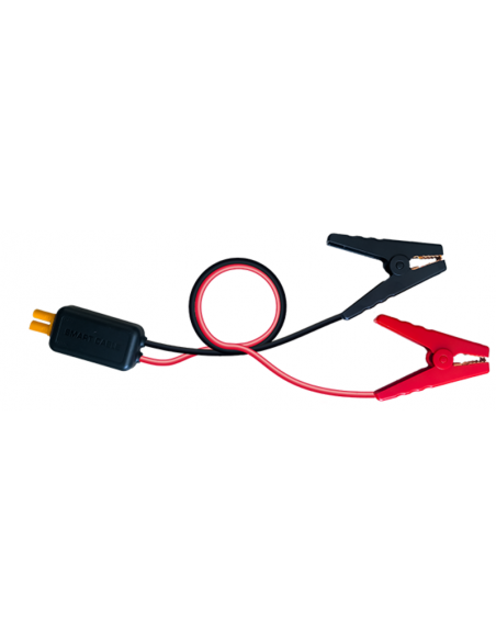 Extension de câble intelligent BS BATTERY pour booster Power Box PB-02