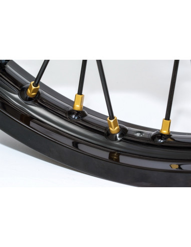 Jeu de têtes de rayons HAAN WHEELS - or