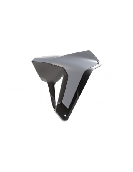 Ouïes de radiateur RACETECH