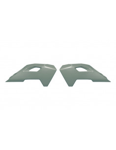 Ouïes de radiateur RACETECH 2