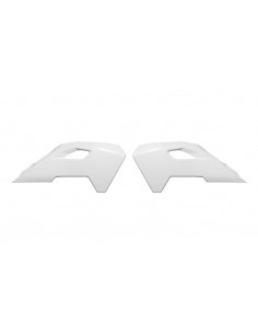 Ouïes de radiateur RACETECH 2