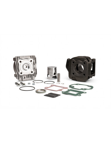 Kit cylindre fonte MALOSSI ø40