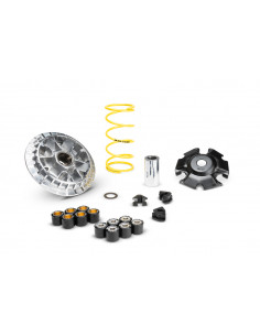 Variateur MALOSSI Multivar 2000 2