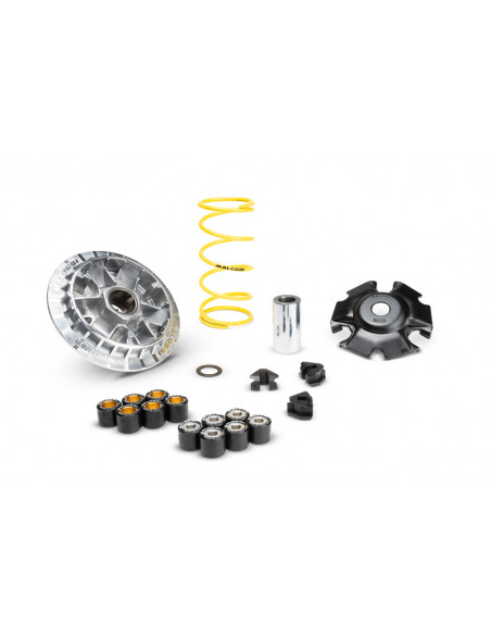 Variateur MALOSSI Multivar 2000