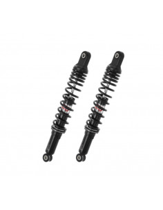 Bi-amortisseur arrière YSS 2