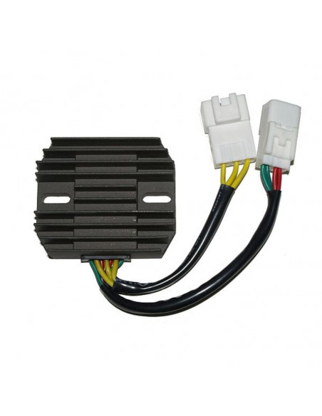 Régulateur ELECTROSPORT