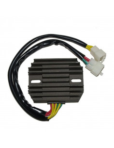 Régulateur ELECTROSPORT