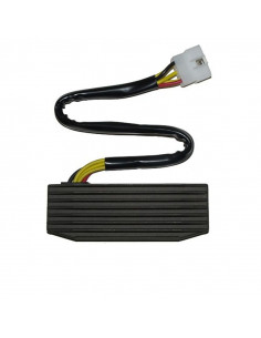 Régulateur ELECTROSPORT