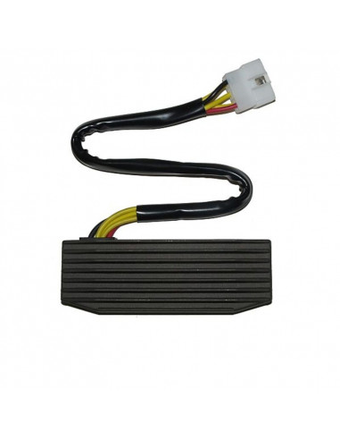 Régulateur ELECTROSPORT