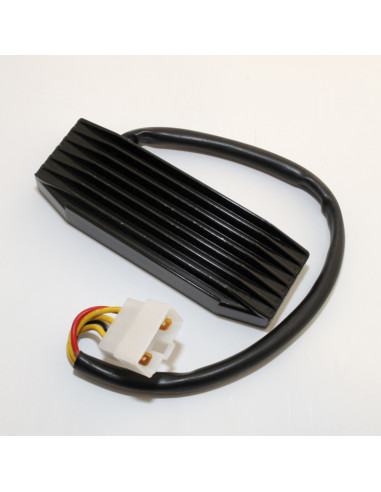 Régulateur ELECTROSPORT