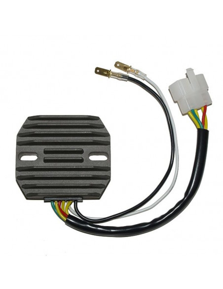 Régulateur ELECTROSPORT