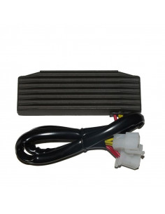 Régulateur ELECTROSPORT 2