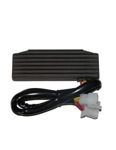 Régulateur ELECTROSPORT