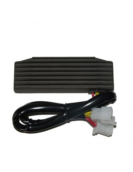 Régulateur ELECTROSPORT