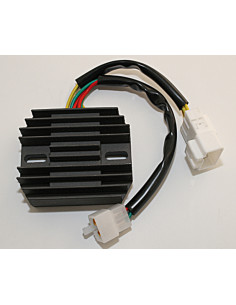 Régulateur ELECTROSPORT 2