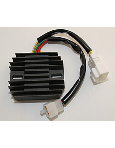 Régulateur ELECTROSPORT