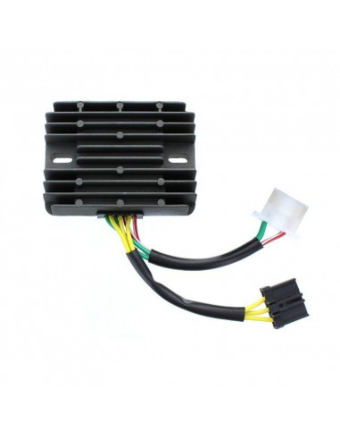 Régulateur ELECTROSPORT