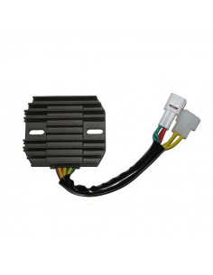 Régulateur ELECTROSPORT