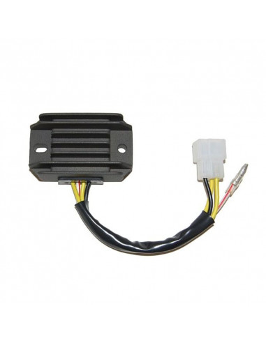 Régulateur ELECTROSPORT