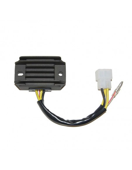 Régulateur ELECTROSPORT